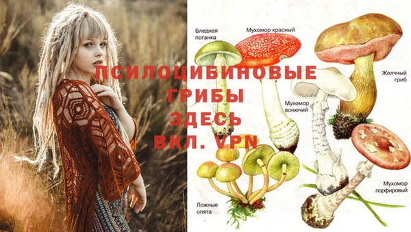 винт Абдулино