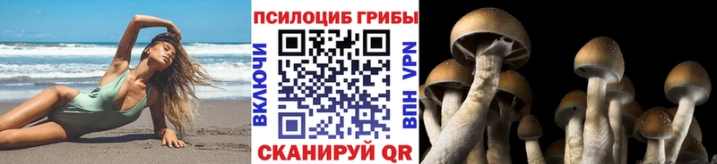 цена   кракен ССЫЛКА  Галлюциногенные грибы MAGIC MUSHROOMS  Устюжна 